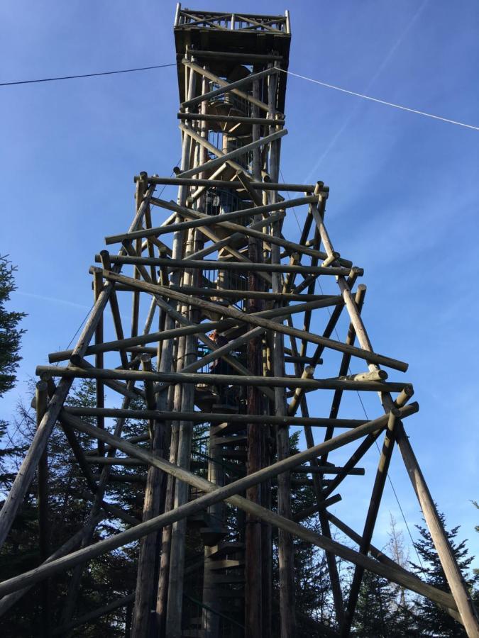 Gite Les Dryades Gérardmer Exteriör bild