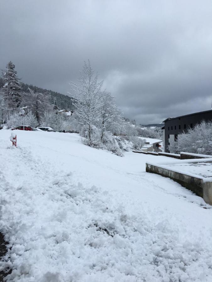 Gite Les Dryades Gérardmer Exteriör bild