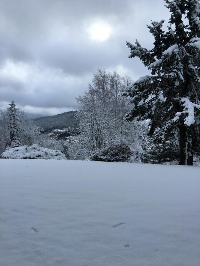 Gite Les Dryades Gérardmer Exteriör bild
