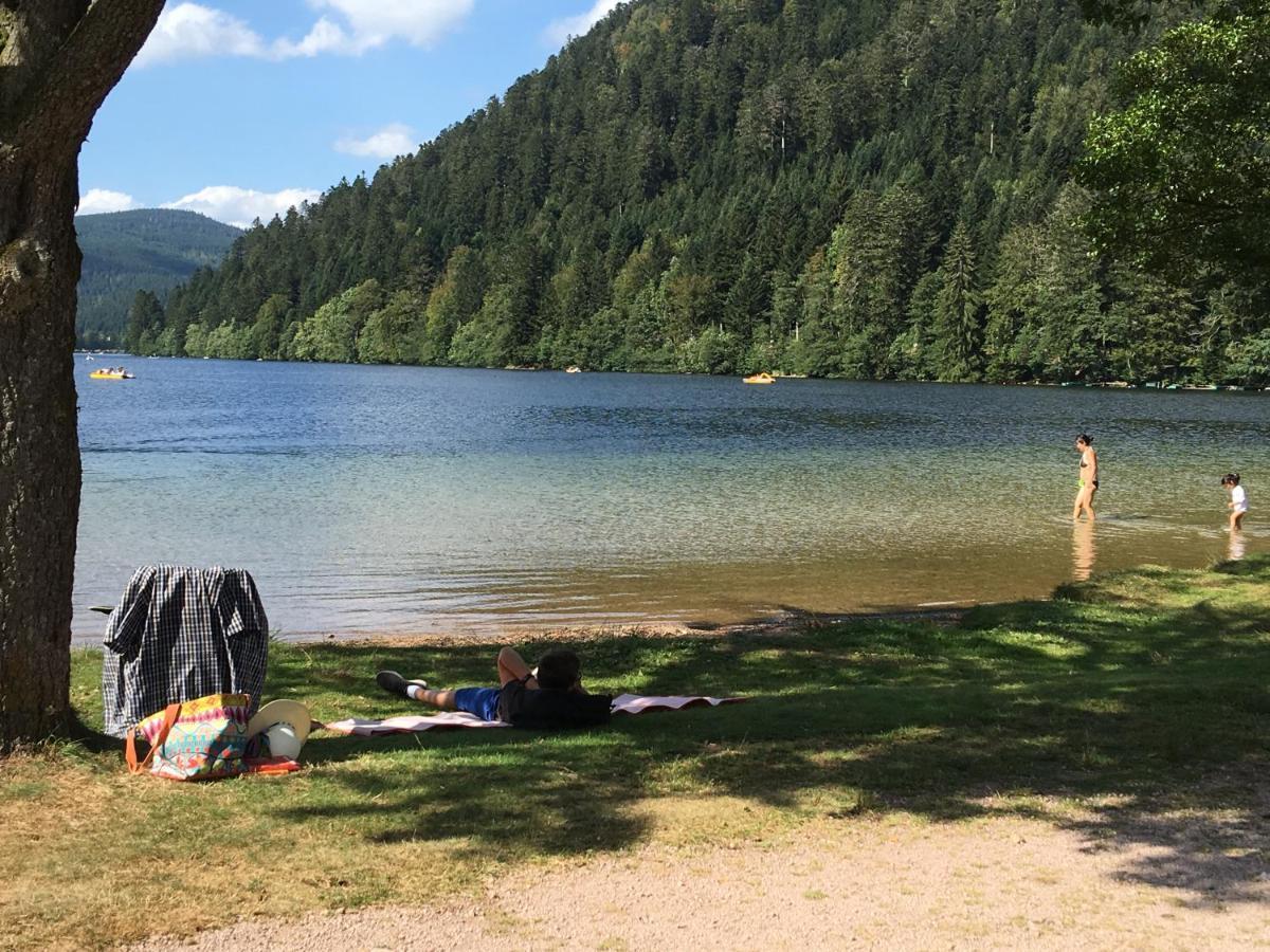 Gite Les Dryades Gérardmer Exteriör bild