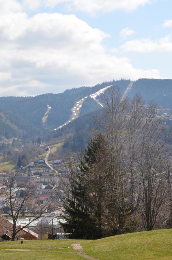 Gite Les Dryades Gérardmer Exteriör bild